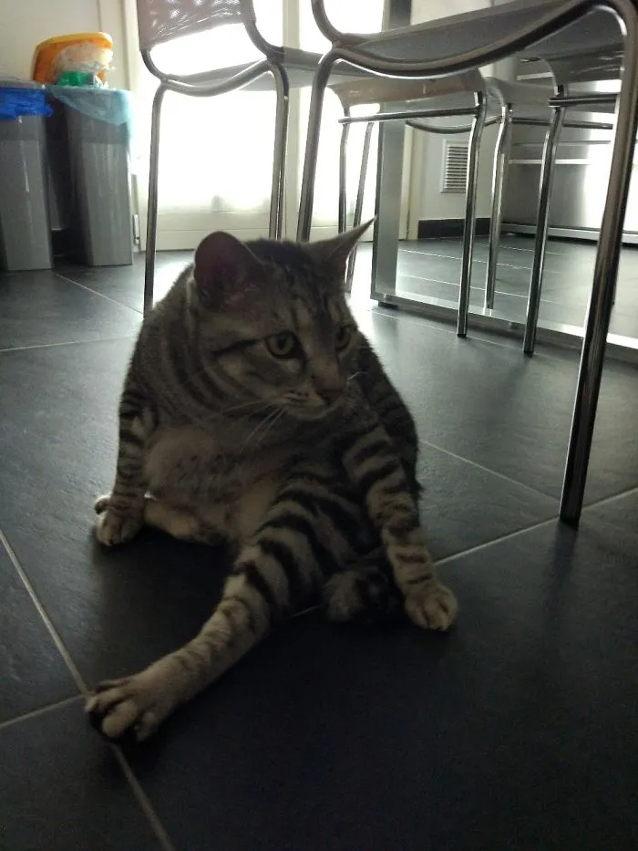 Morning Yoga Session For Nina
