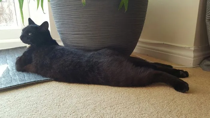 Just Chilling...