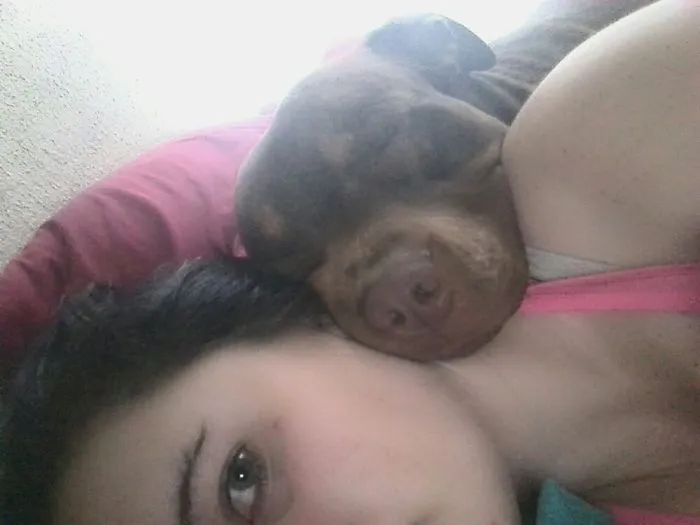 Perfect Pillow