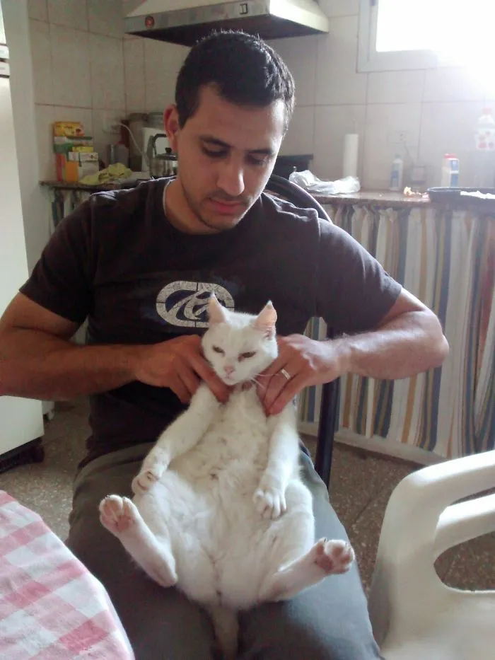 My Cat Likes Massaje