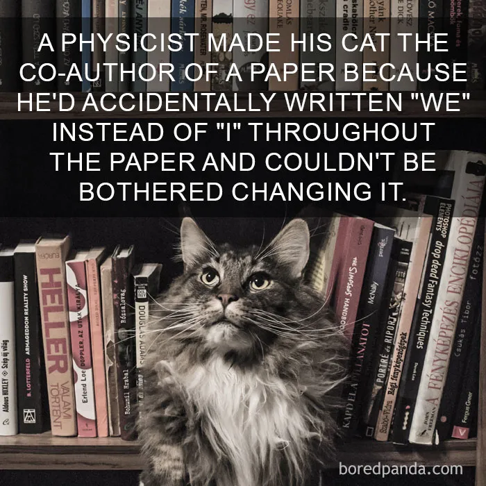 68 Amazing Cat Facts That You Probably Didn't Know