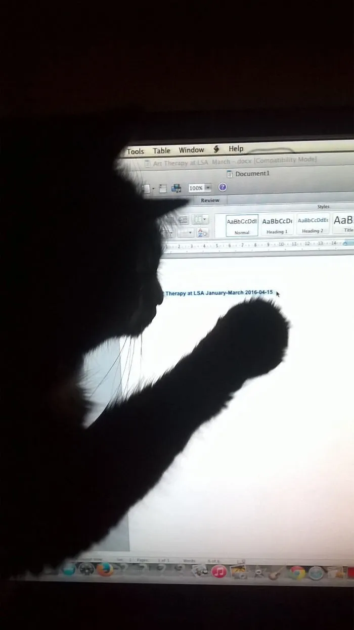 Cat Won't Let Me Work...