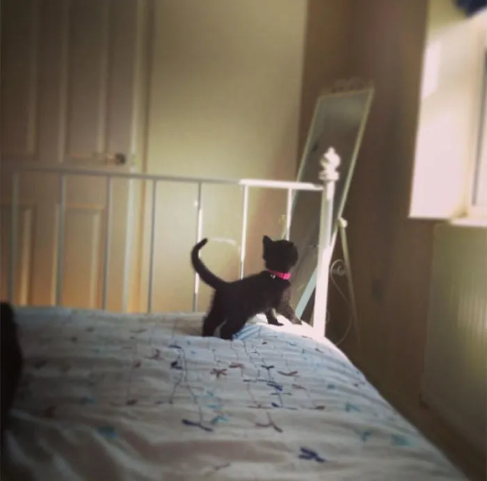 The Sun Came Out And Penny Just Stared At It