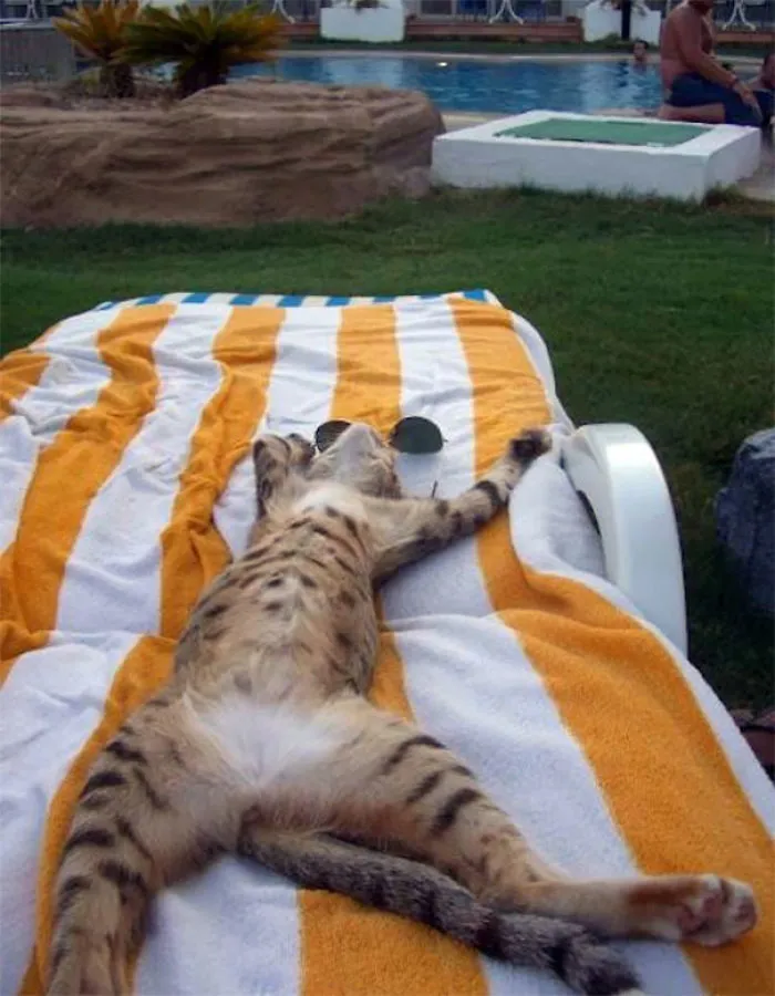 Good Life