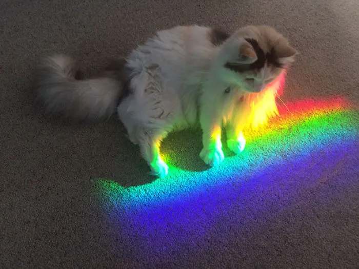 Magic Sun