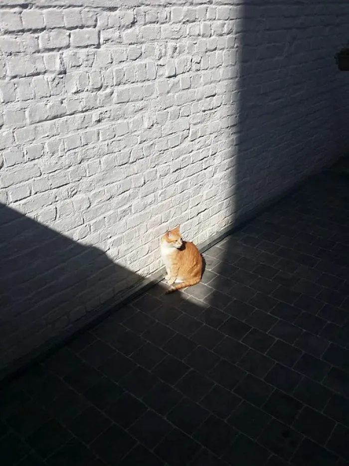 Warm Spot