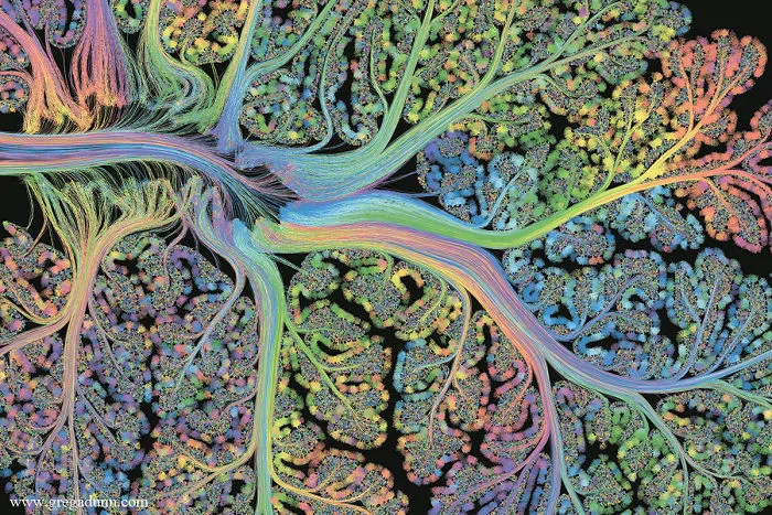Self Reflected: A Snapshot Of The Human Brain Captured By Reflective Microetching