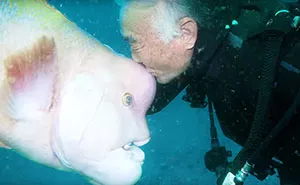 Este buceador japonés lleva 25 años visitando a su amigo pez