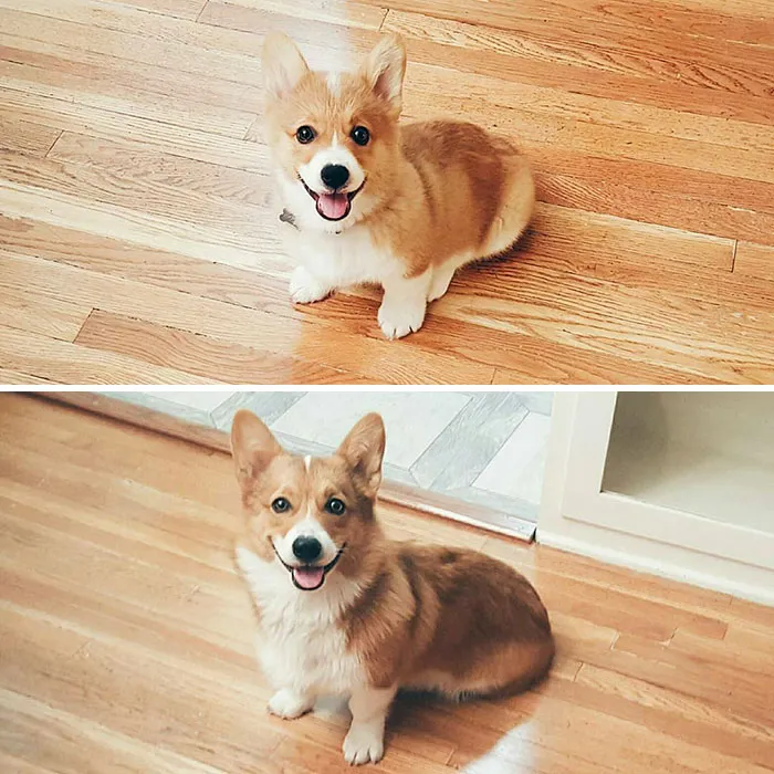 Am I Still As Cute As I Used To Be?