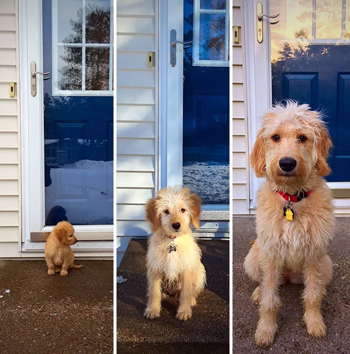 What A Difference Six Months Make