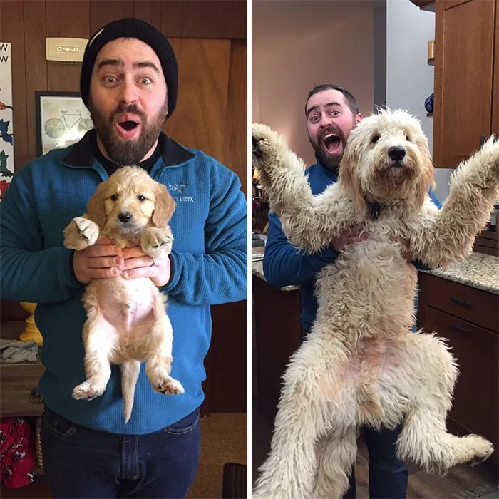 Little Irwin. Big Irwin! One Year Old Today