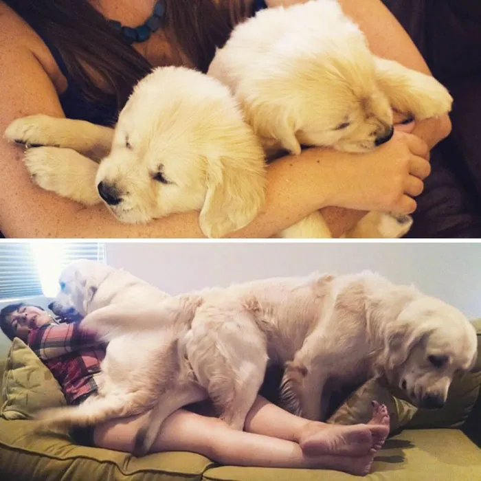 Before And After: 5 Weeks & 55 Weeks