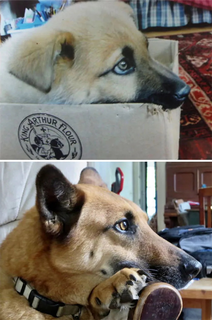 Theo At Six Months And Six Years