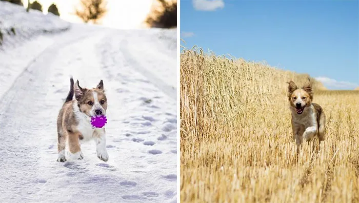 Christmas Gift For My Parents. December - August
