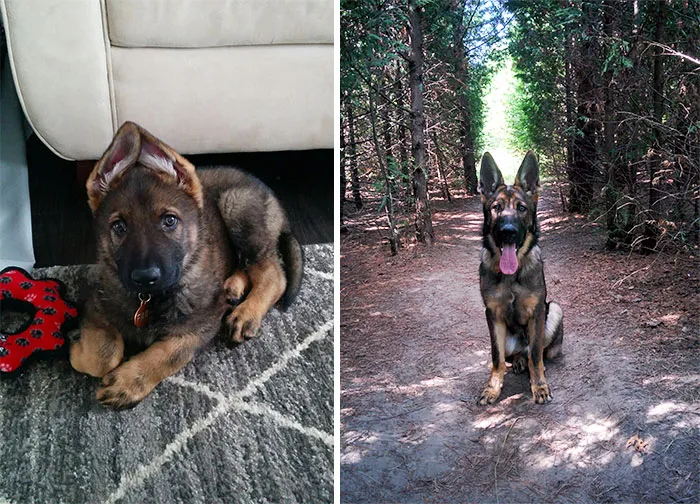 My Boy Is Growing Up Fast. 6 Months & Counting