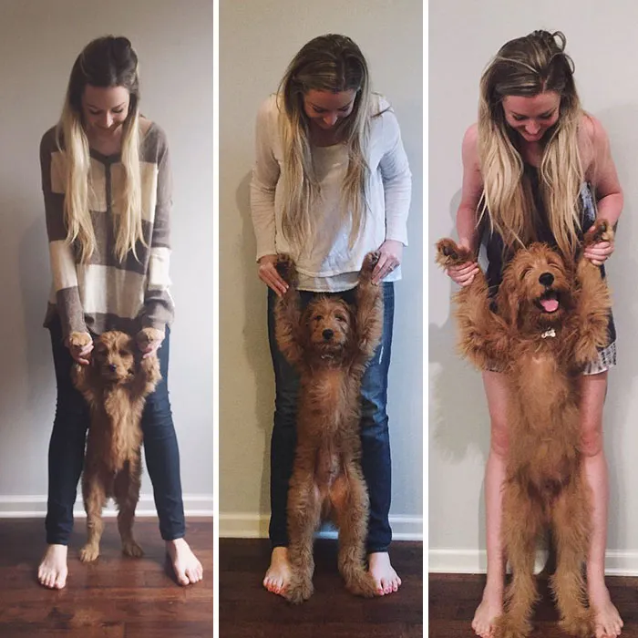 9 Weeks. 13 Weeks. 21 Weeks