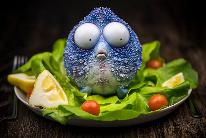 Dory