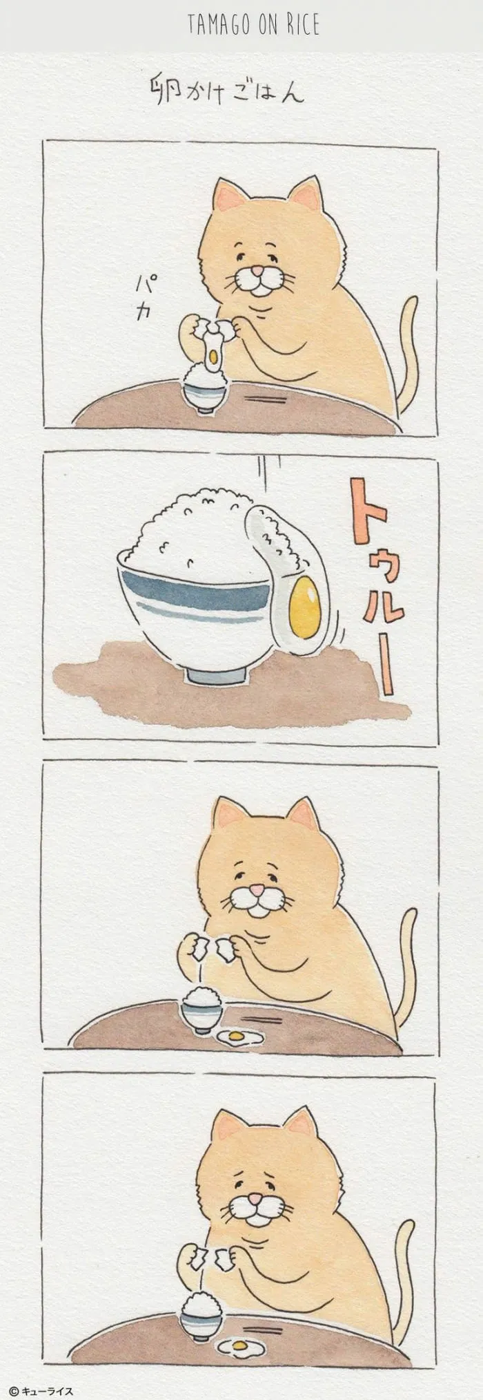 8 Chubby Cat Food Fails That Are So Painfully Relatable It's Hilarious