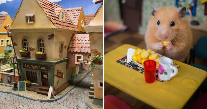 Tardamos 1984 horas en crear esta ciudad en miniatura para hámsters