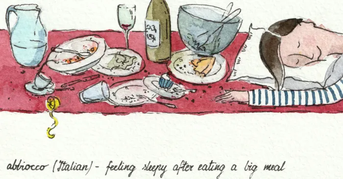 Postcards From Mars: Untranslatable Words Illustrated