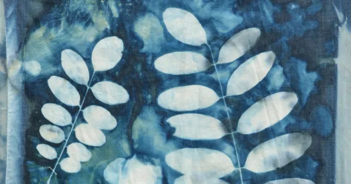 I Create Beautiful Mistakes Deliberately Wrecking Cyanotype Photo Process