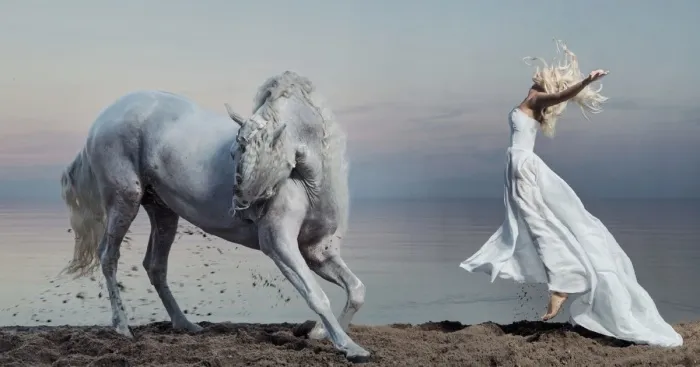 Where The Wild Horses Run