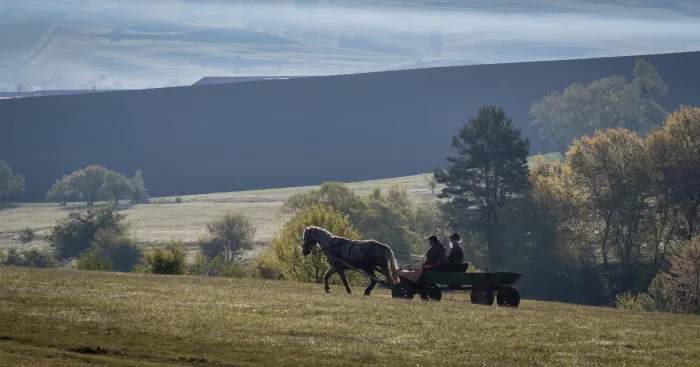 14 Aspects Of Rural Life In Romania That Will Fascinate You