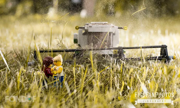 Never... Never Meet Your Secret Love Near A Plough Field!