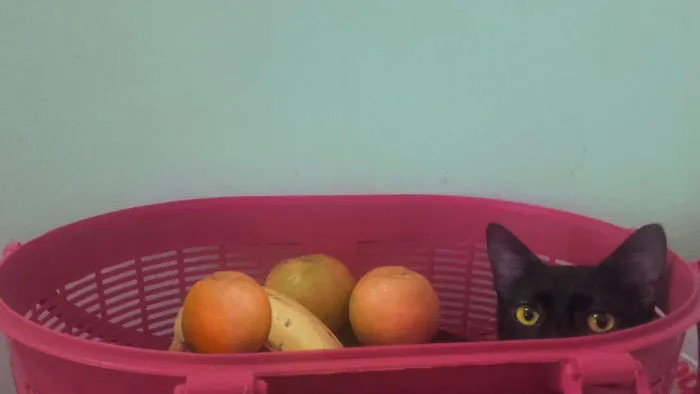 I Undercover!