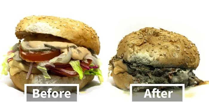 Food Aging Time-Lapse