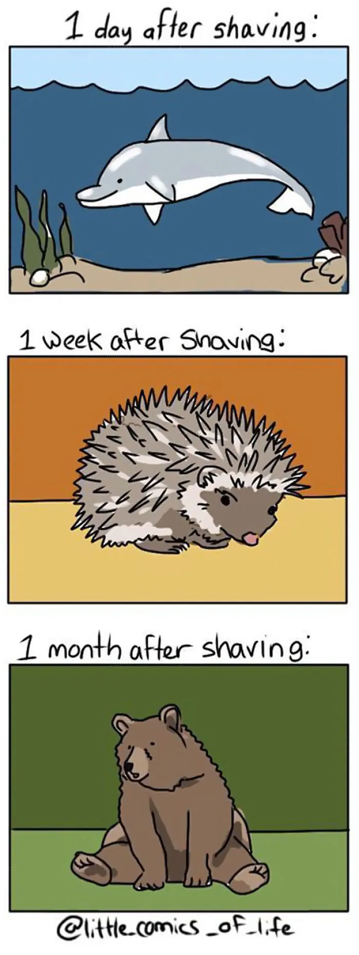 43 Hilariously Painful Comics About Shaving That Only Women Will Truly Understand