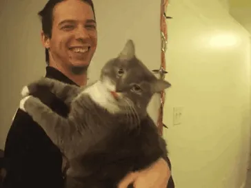Catnip. Not Even Once