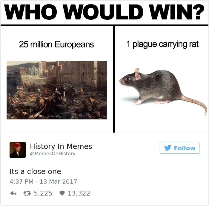 62 Hilarious History Memes That Should Be Shown In History Classes
