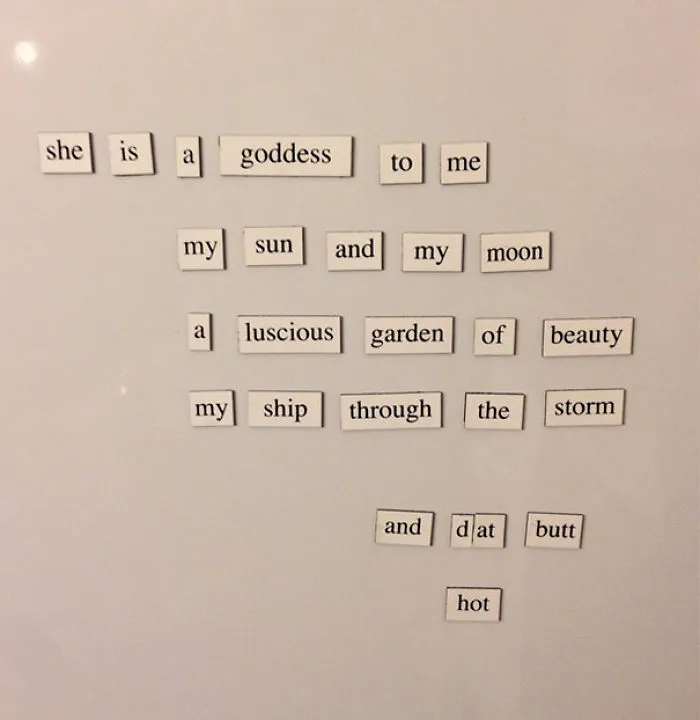 My Wife Didn't Appreciate My Fridge Magnet Poem