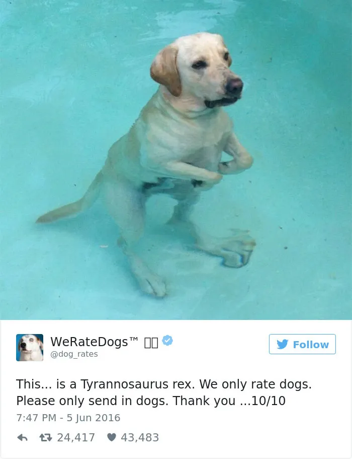 41 Times People Failed To Send Dog Pics To 'We Rate Dogs' Twitter