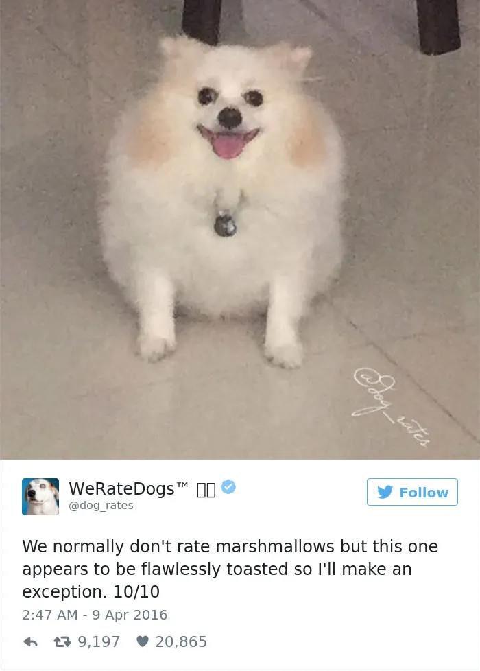 41 Times People Failed To Send Dog Pics To 'We Rate Dogs' Twitter