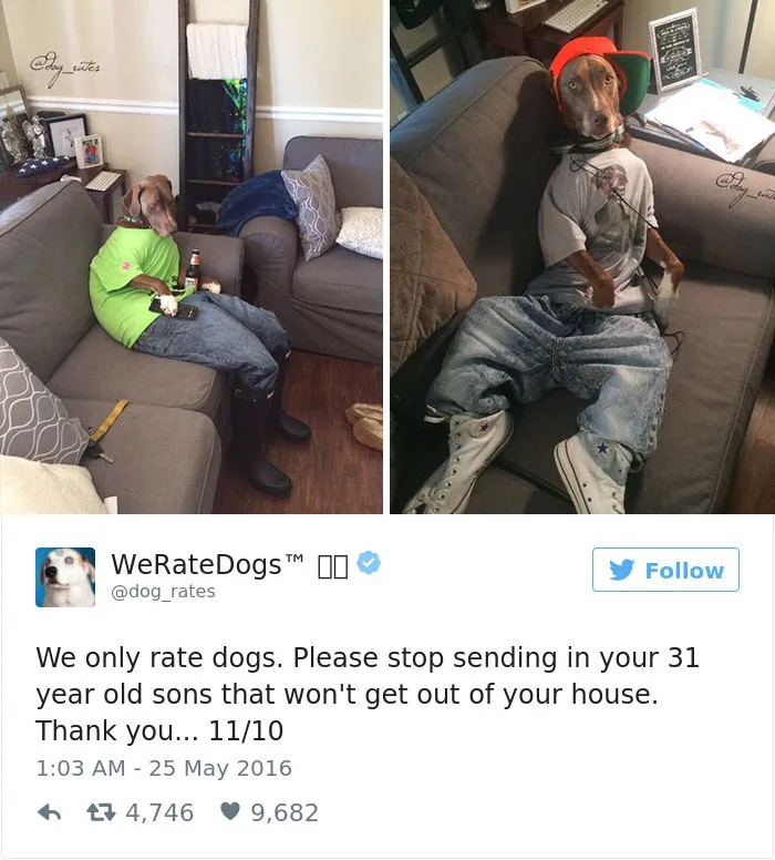 41 Times People Failed To Send Dog Pics To 'We Rate Dogs' Twitter