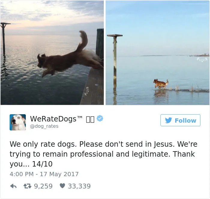 41 Times People Failed To Send Dog Pics To 'We Rate Dogs' Twitter