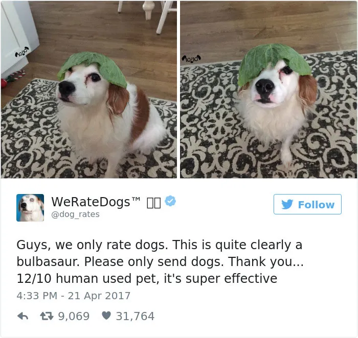 41 Times People Failed To Send Dog Pics To 'We Rate Dogs' Twitter