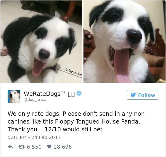 41 Times People Failed To Send Dog Pics To 'We Rate Dogs' Twitter