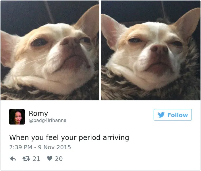 105 Painfully Hilarious Posts About Periods That Only Women Will Understand
