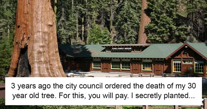 Mayor Cuts Down Man's 30-Year-Old Tree, He Revenges Him In The Best Possible Way (UPDATE)
