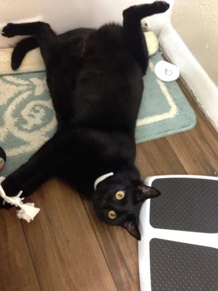 I Thought You Left For Work Already... Don't Mind Me. Move Along Please..