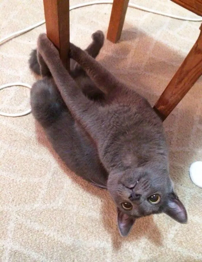 Haciendo poledance