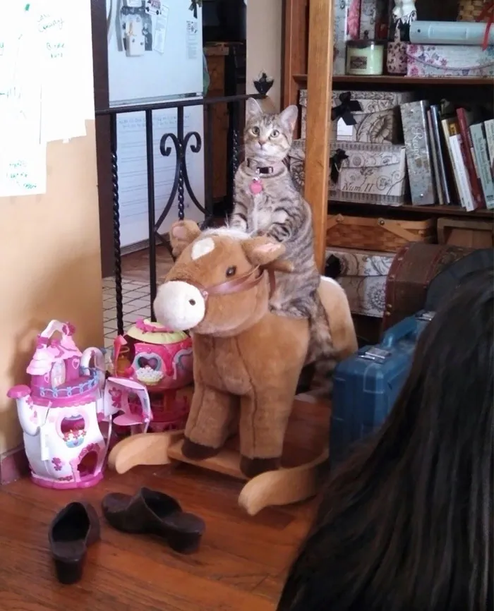 Vio a los niños jugando y ahora maulla hasta que le meces