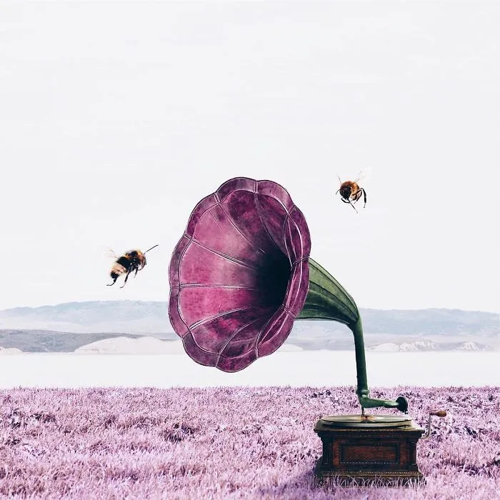 I'm An 18-Year-Old Artist From Portugal And I Like Merging Unexpected Objects To Create Surreal Art