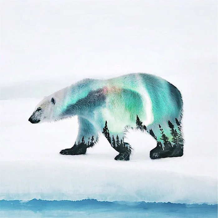 I'm An 18-Year-Old Artist From Portugal And I Like Merging Unexpected Objects To Create Surreal Art