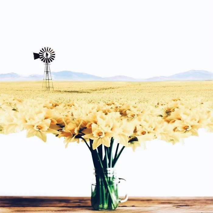I'm An 18-Year-Old Artist From Portugal And I Like Merging Unexpected Objects To Create Surreal Art