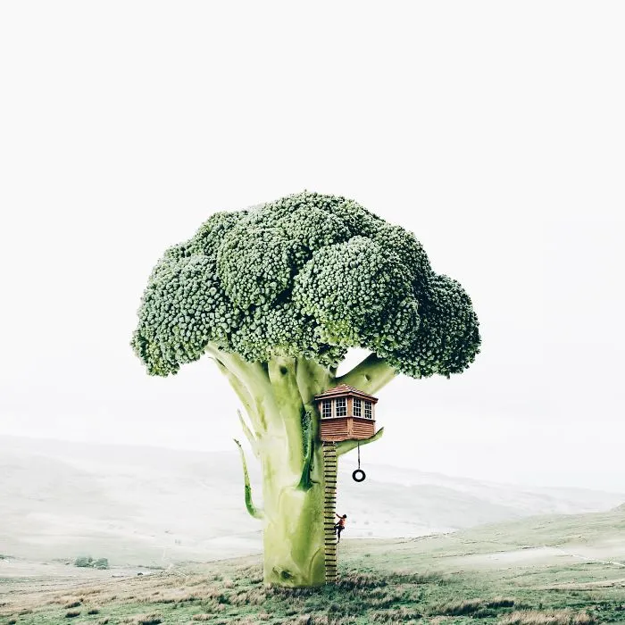 I'm An 18-Year-Old Artist From Portugal And I Like Merging Unexpected Objects To Create Surreal Art
