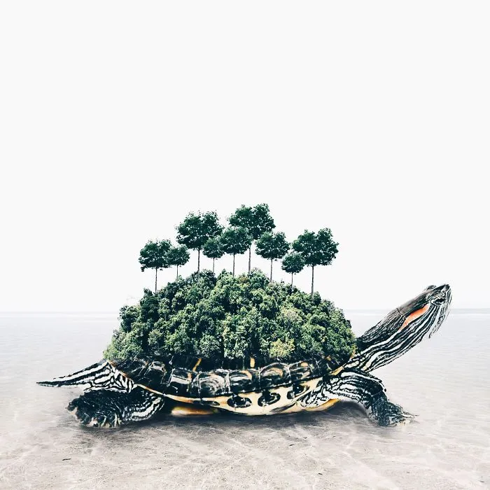 I'm An 18-Year-Old Artist From Portugal And I Like Merging Unexpected Objects To Create Surreal Art